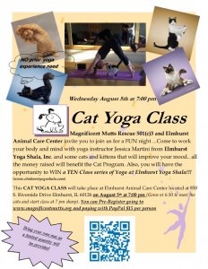 Cat_Yoga_Class